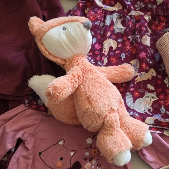 🌈10 Pc. Baby Girl Clothing Bundle With Fox Stuffie as A Free Gift! #305 - Picture 3 of 3
